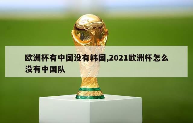欧洲杯有中国没有韩国,2021欧洲杯怎么没有中国队